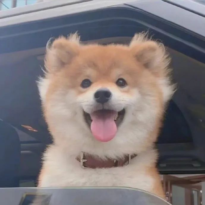 注意,本周日要上班!休闲区蓝鸢梦想 - Www.slyday.coM 注意,本周日要上班!休闲区蓝鸢梦想 - Www.slyday.coM