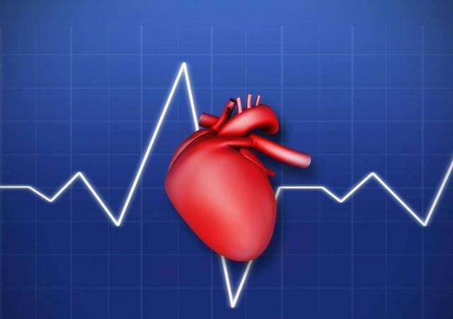 心跳快慢会影响每个人的寿命?告诉你正常跳动的范围,别过标准线休闲区蓝鸢梦想 - Www.slyday.coM 心跳快慢会影响每个人的寿命?告诉你正常跳动的范围,别过标准线休闲区蓝鸢梦想 - Www.slyday.coM