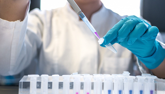 图片来源：Unsplash- Julia Koblitz