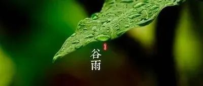 明日谷雨！春天最后一个节气，吃好三样，喝好三样，做好三样