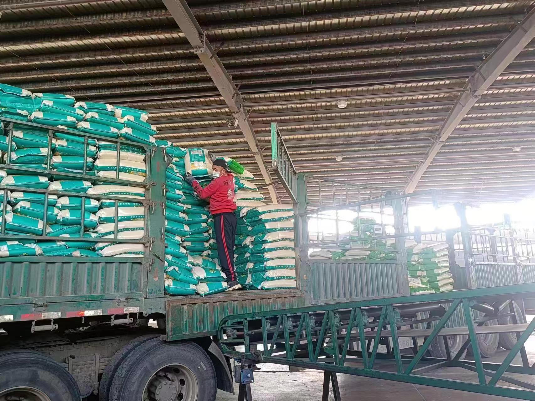 3月份以来 中国铁路沈阳局累计向上海、吉林等地运输防疫物资1365吨休闲区蓝鸢梦想 - Www.slyday.coM 3月份以来 中国铁路沈阳局累计向上海、吉林等地运输防疫物资1365吨休闲区蓝鸢梦想 - Www.slyday.coM