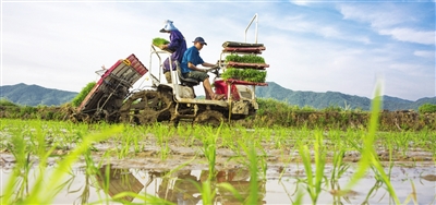 当前中国经济十问(图)休闲区蓝鸢梦想 - Www.slyday.coM 当前中国经济十问(图)休闲区蓝鸢梦想 - Www.slyday.coM