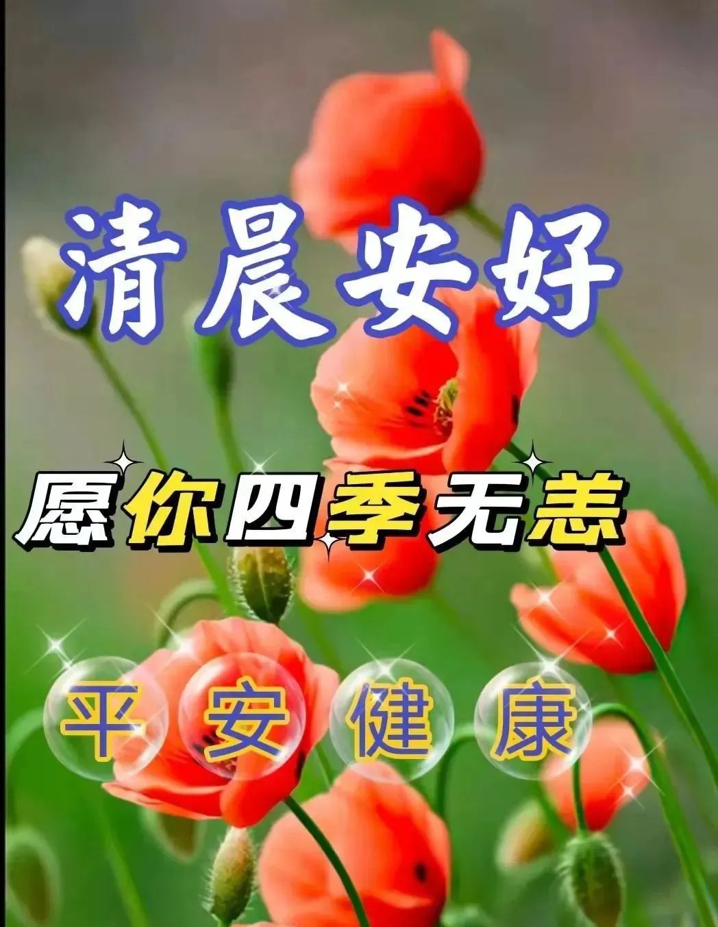 7月8日早安问候祝愿图片～周六心境酣畅喜乐无忧 (7月8日早安图片)