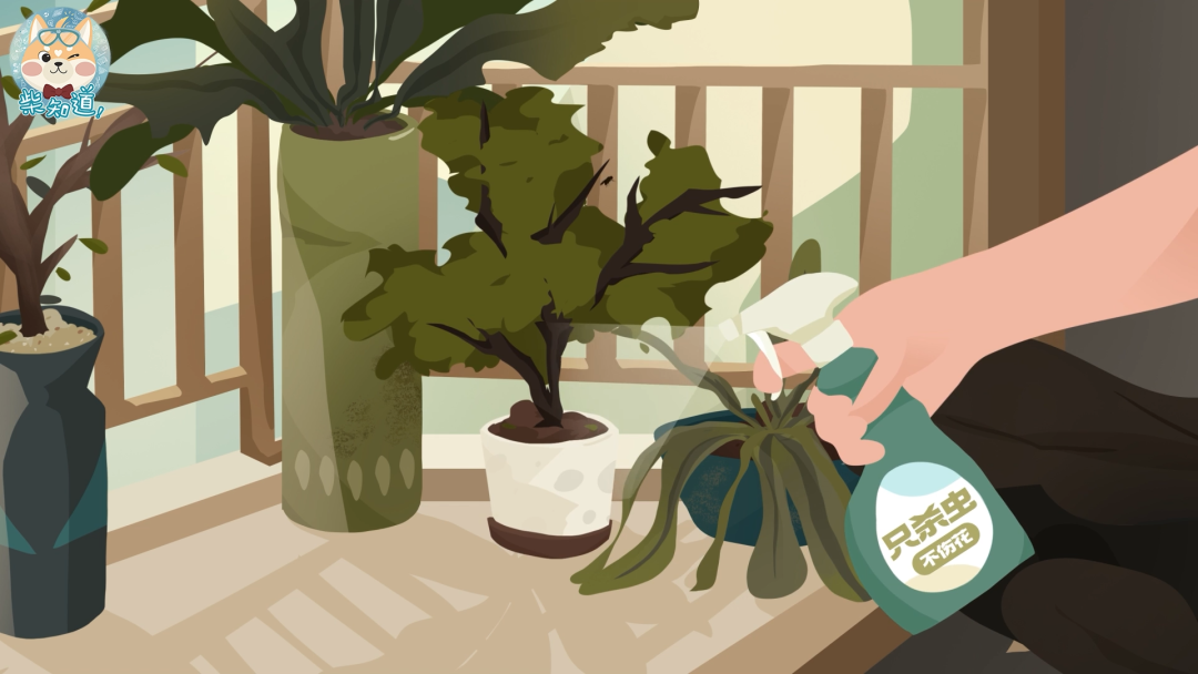 家里凭空冒出的小飞虫都是哪来的?如何科学地消灭它们?休闲区蓝鸢梦想 - Www.slyday.coM 家里凭空冒出的小飞虫都是哪来的?如何科学地消灭它们?休闲区蓝鸢梦想 - Www.slyday.coM