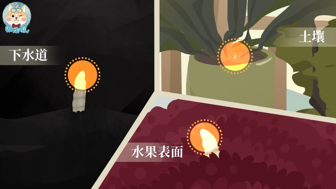 家里凭空冒出的小飞虫都是哪来的?如何科学地消灭它们?休闲区蓝鸢梦想 - Www.slyday.coM 家里凭空冒出的小飞虫都是哪来的?如何科学地消灭它们?休闲区蓝鸢梦想 - Www.slyday.coM