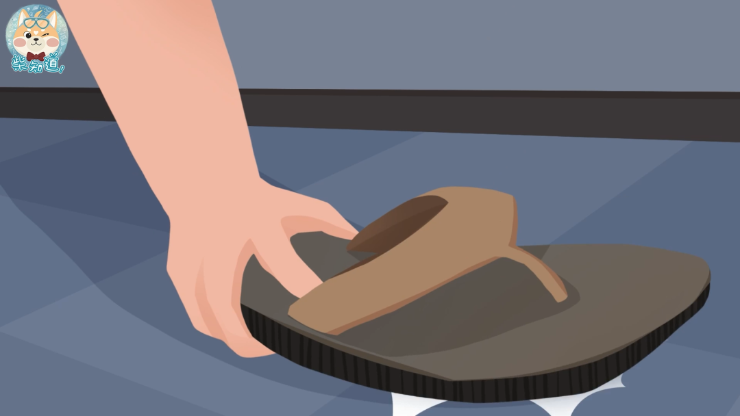 家里凭空冒出的小飞虫都是哪来的?如何科学地消灭它们?休闲区蓝鸢梦想 - Www.slyday.coM 家里凭空冒出的小飞虫都是哪来的?如何科学地消灭它们?休闲区蓝鸢梦想 - Www.slyday.coM