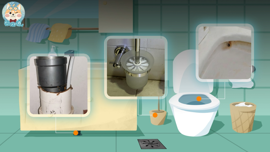 家里凭空冒出的小飞虫都是哪来的?如何科学地消灭它们?休闲区蓝鸢梦想 - Www.slyday.coM 家里凭空冒出的小飞虫都是哪来的?如何科学地消灭它们?休闲区蓝鸢梦想 - Www.slyday.coM