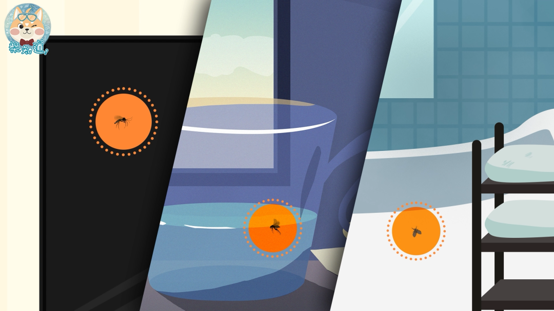 家里凭空冒出的小飞虫都是哪来的?如何科学地消灭它们?休闲区蓝鸢梦想 - Www.slyday.coM 家里凭空冒出的小飞虫都是哪来的?如何科学地消灭它们?休闲区蓝鸢梦想 - Www.slyday.coM