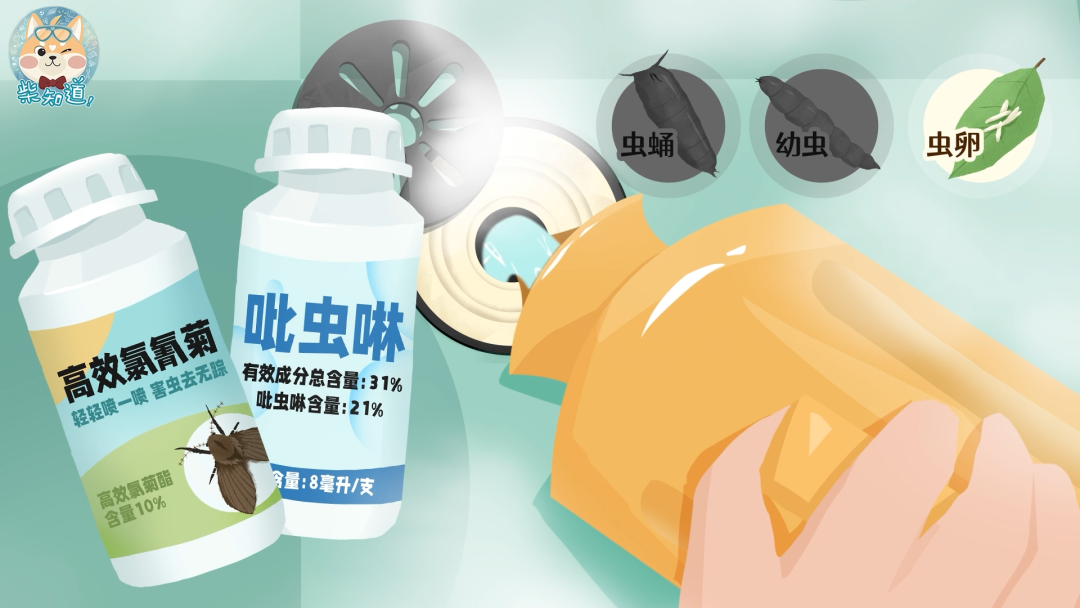 家里凭空冒出的小飞虫都是哪来的?如何科学地消灭它们?休闲区蓝鸢梦想 - Www.slyday.coM 家里凭空冒出的小飞虫都是哪来的?如何科学地消灭它们?休闲区蓝鸢梦想 - Www.slyday.coM