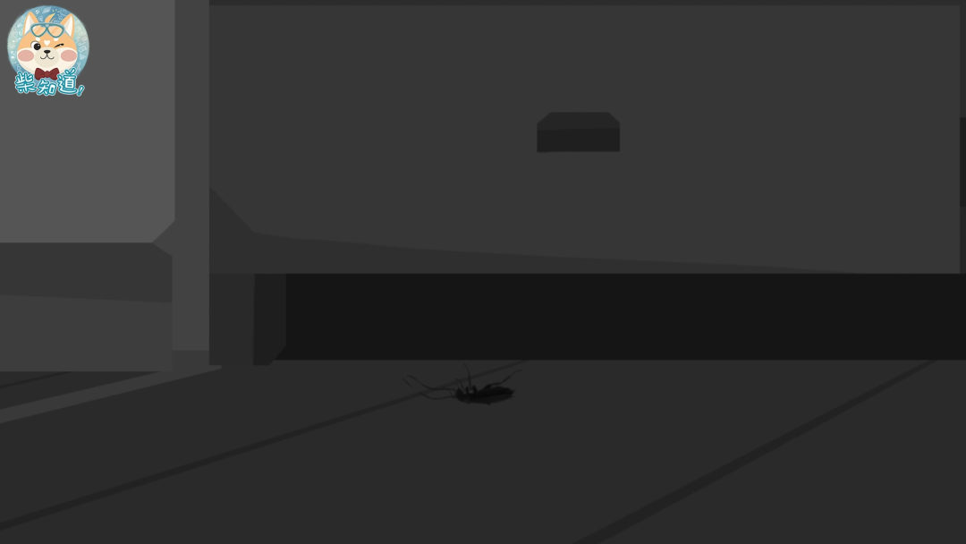 家里凭空冒出的小飞虫都是哪来的?如何科学地消灭它们?休闲区蓝鸢梦想 - Www.slyday.coM 家里凭空冒出的小飞虫都是哪来的?如何科学地消灭它们?休闲区蓝鸢梦想 - Www.slyday.coM