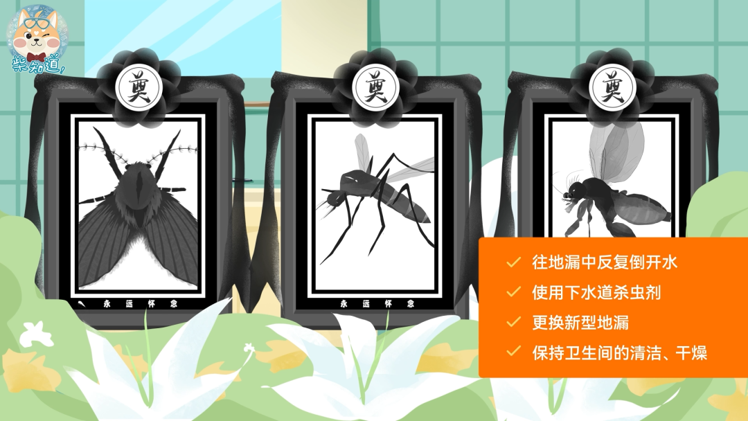 家里凭空冒出的小飞虫都是哪来的?如何科学地消灭它们?休闲区蓝鸢梦想 - Www.slyday.coM 家里凭空冒出的小飞虫都是哪来的?如何科学地消灭它们?休闲区蓝鸢梦想 - Www.slyday.coM