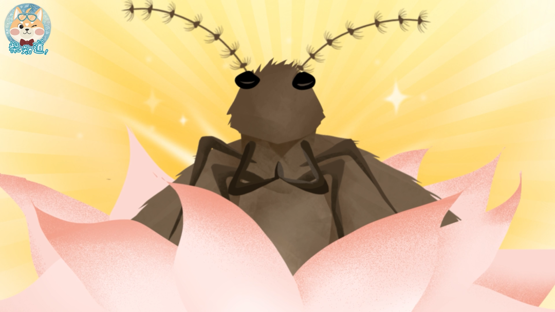 家里凭空冒出的小飞虫都是哪来的?如何科学地消灭它们?休闲区蓝鸢梦想 - Www.slyday.coM 家里凭空冒出的小飞虫都是哪来的?如何科学地消灭它们?休闲区蓝鸢梦想 - Www.slyday.coM