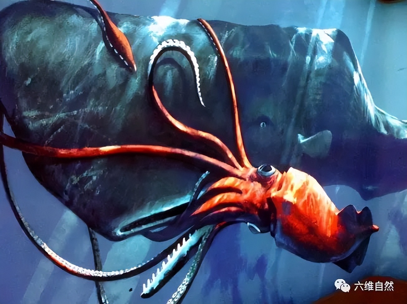 ArtStation - Giant Squid