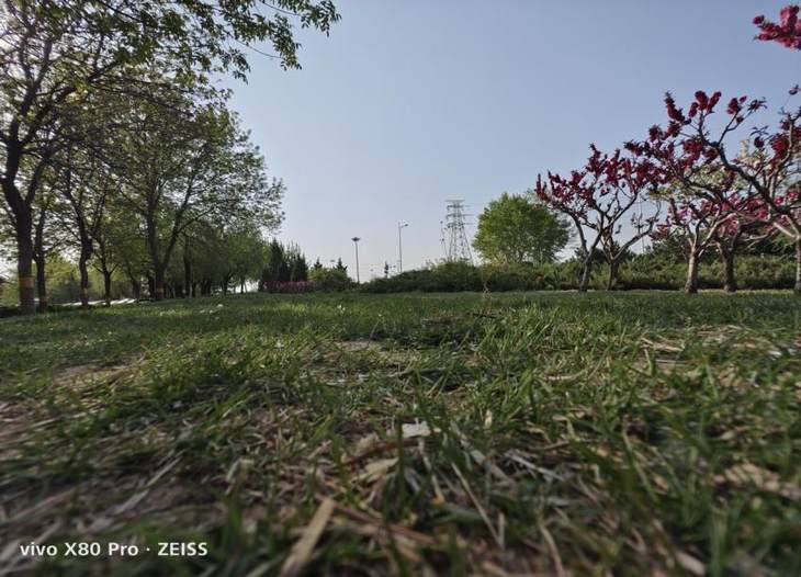 vivo x80 pro测评 f093-c668b80918eb3fb95e65ff138bc9fd4f.jpg