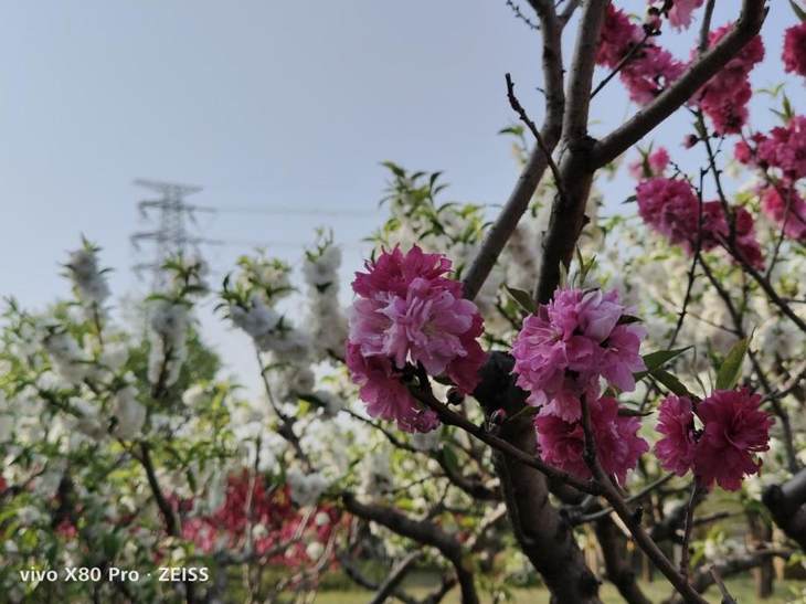 vivo x80 pro 价钱 a87d-8d68d8a122555a8931c7cfc93177c212.jpg