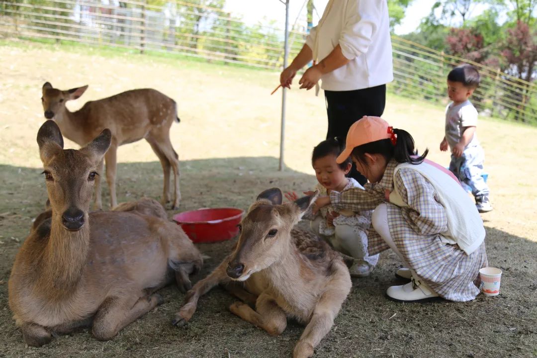 贵阳人的五一假期,安排好了!休闲区蓝鸢梦想 - Www.slyday.coM 贵阳人的五一假期,安排好了!休闲区蓝鸢梦想 - Www.slyday.coM