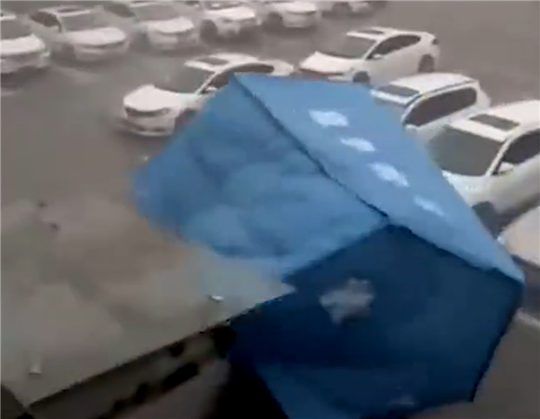 强雷暴云团来袭 市民实拍上海暴雨:白昼如黑夜休闲区蓝鸢梦想 - Www.slyday.coM 强雷暴云团来袭 市民实拍上海暴雨:白昼如黑夜休闲区蓝鸢梦想 - Www.slyday.coM