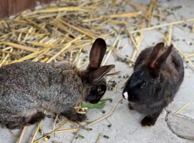 贵阳人的五一假期,安排好了!休闲区蓝鸢梦想 - Www.slyday.coM 贵阳人的五一假期,安排好了!休闲区蓝鸢梦想 - Www.slyday.coM