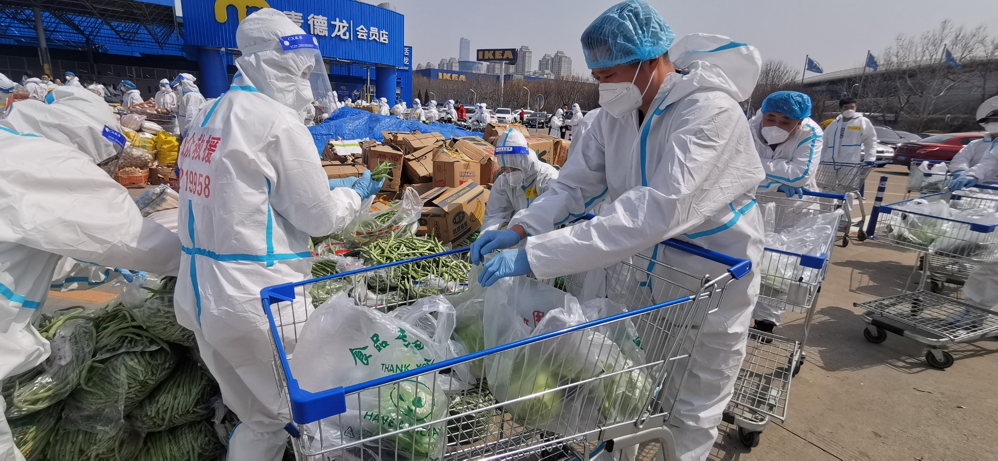 ▲4月11日，大连万众应急救援队的志愿者们正在打包送往上海的蔬菜。 受访者供图