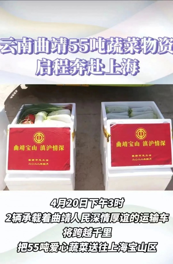 云南捐赠宝山的物资,竟被卖到静安?查明了!一公寓负责人倒卖物资,已被抓!休闲区蓝鸢梦想 - Www.slyday.coM 云南捐赠宝山的物资,竟被卖到静安?查明了!一公寓负责人倒卖物资,已被抓!休闲区蓝鸢梦想 - Www.slyday.coM