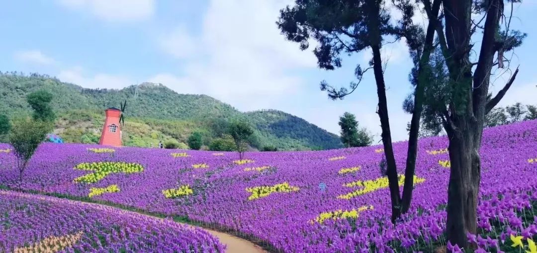 贵阳人的五一假期,安排好了!休闲区蓝鸢梦想 - Www.slyday.coM 贵阳人的五一假期,安排好了!休闲区蓝鸢梦想 - Www.slyday.coM