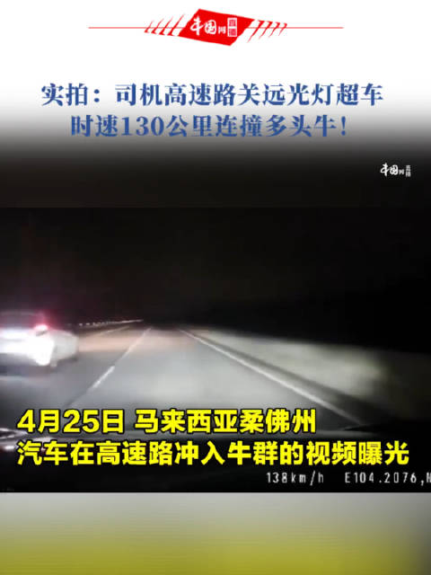 实拍：司机高速路关远光灯超车 时速130公里连撞多头牛！