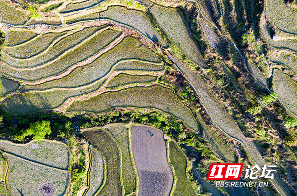 “云上雪峰”成网红,“四好农村路”串联起幸福的新生活休闲区蓝鸢梦想 - Www.slyday.coM “云上雪峰”成网红,“四好农村路”串联起幸福的新生活休闲区蓝鸢梦想 - Www.slyday.coM