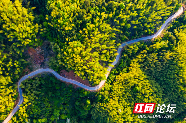 “云上雪峰”成网红,“四好农村路”串联起幸福的新生活休闲区蓝鸢梦想 - Www.slyday.coM “云上雪峰”成网红,“四好农村路”串联起幸福的新生活休闲区蓝鸢梦想 - Www.slyday.coM