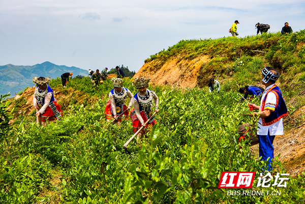 “云上雪峰”成网红,“四好农村路”串联起幸福的新生活休闲区蓝鸢梦想 - Www.slyday.coM “云上雪峰”成网红,“四好农村路”串联起幸福的新生活休闲区蓝鸢梦想 - Www.slyday.coM