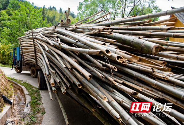 “云上雪峰”成网红,“四好农村路”串联起幸福的新生活休闲区蓝鸢梦想 - Www.slyday.coM “云上雪峰”成网红,“四好农村路”串联起幸福的新生活休闲区蓝鸢梦想 - Www.slyday.coM