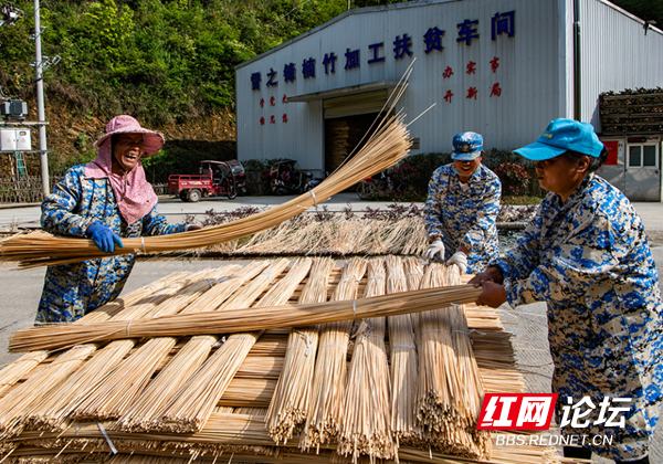 “云上雪峰”成网红,“四好农村路”串联起幸福的新生活休闲区蓝鸢梦想 - Www.slyday.coM “云上雪峰”成网红,“四好农村路”串联起幸福的新生活休闲区蓝鸢梦想 - Www.slyday.coM