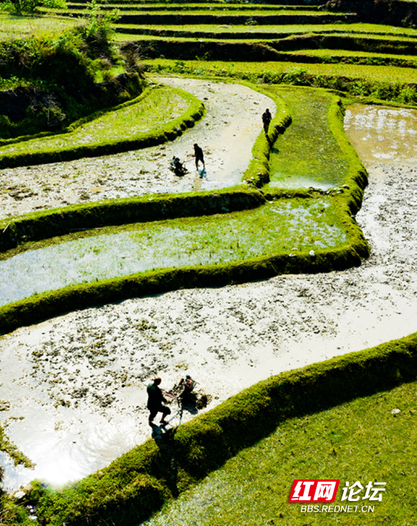 “云上雪峰”成网红,“四好农村路”串联起幸福的新生活休闲区蓝鸢梦想 - Www.slyday.coM “云上雪峰”成网红,“四好农村路”串联起幸福的新生活休闲区蓝鸢梦想 - Www.slyday.coM