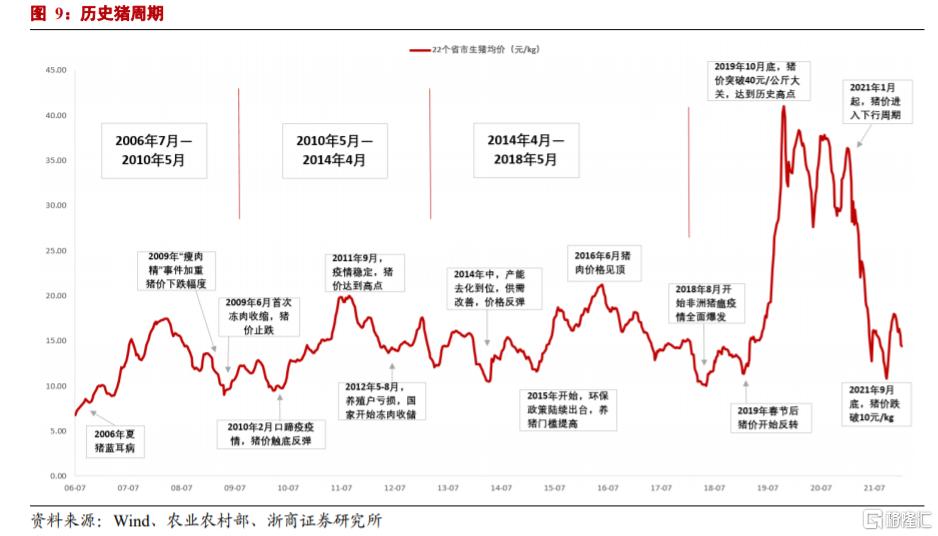 亏损也不妨碍股价涨温氏股份是真香还是昙花一现
