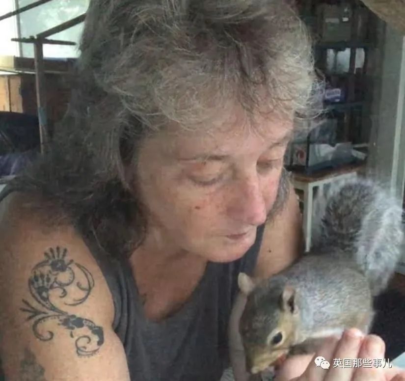 虚弱小松鼠被老奶奶捡回家,各种宠溺关爱,真成了奶奶带大的胖仔!休闲区蓝鸢梦想 - Www.slyday.coM 虚弱小松鼠被老奶奶捡回家,各种宠溺关爱,真成了奶奶带大的胖仔!休闲区蓝鸢梦想 - Www.slyday.coM