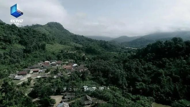 湄公河惨案主犯糯康临刑前独白首公开!休闲区蓝鸢梦想 - Www.slyday.coM 湄公河惨案主犯糯康临刑前独白首公开!休闲区蓝鸢梦想 - Www.slyday.coM