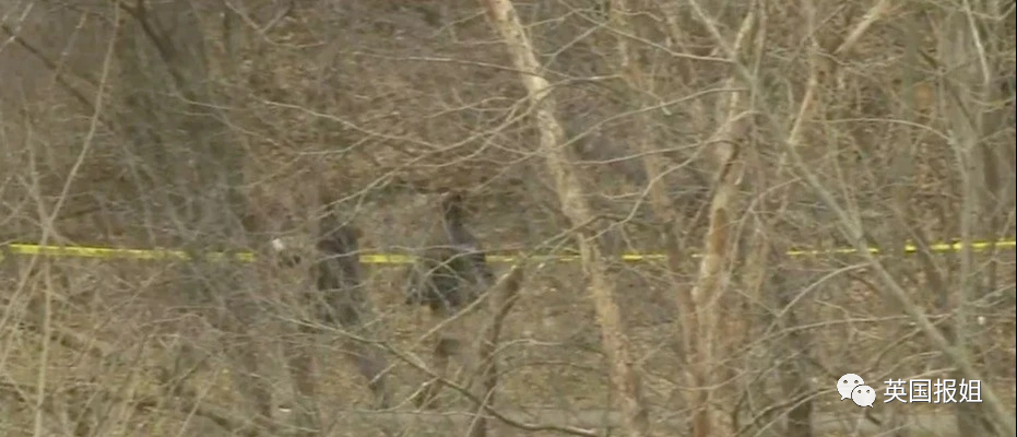 可怕!美国10岁女孩被14岁堂兄性侵杀害,全靠网友破案?休闲区蓝鸢梦想 - Www.slyday.coM 可怕!美国10岁女孩被14岁堂兄性侵杀害,全靠网友破案?休闲区蓝鸢梦想 - Www.slyday.coM