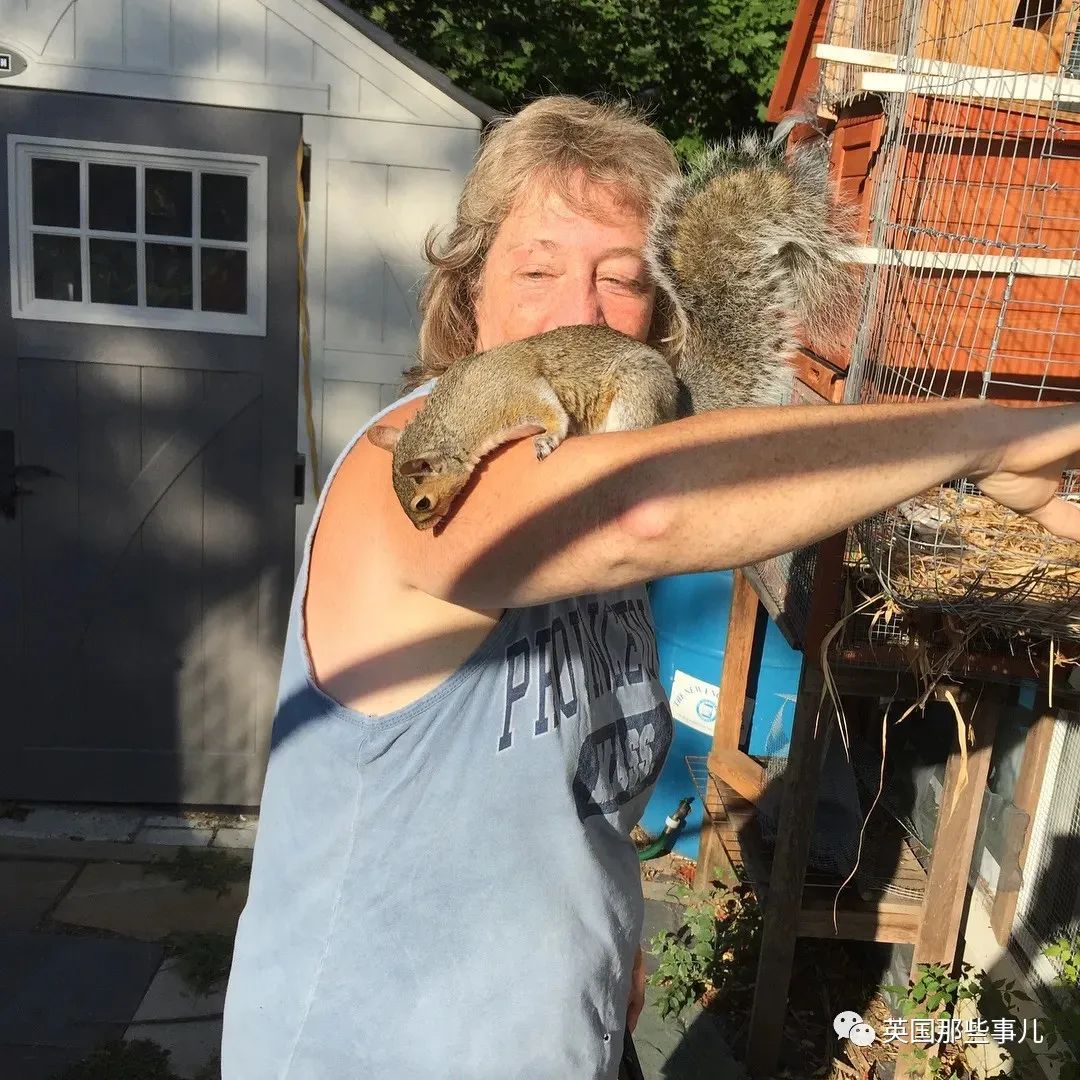 虚弱小松鼠被老奶奶捡回家,各种宠溺关爱,真成了奶奶带大的胖仔!休闲区蓝鸢梦想 - Www.slyday.coM 虚弱小松鼠被老奶奶捡回家,各种宠溺关爱,真成了奶奶带大的胖仔!休闲区蓝鸢梦想 - Www.slyday.coM