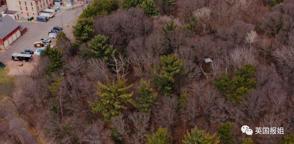 可怕!美国10岁女孩被14岁堂兄性侵杀害,全靠网友破案?休闲区蓝鸢梦想 - Www.slyday.coM 可怕!美国10岁女孩被14岁堂兄性侵杀害,全靠网友破案?休闲区蓝鸢梦想 - Www.slyday.coM