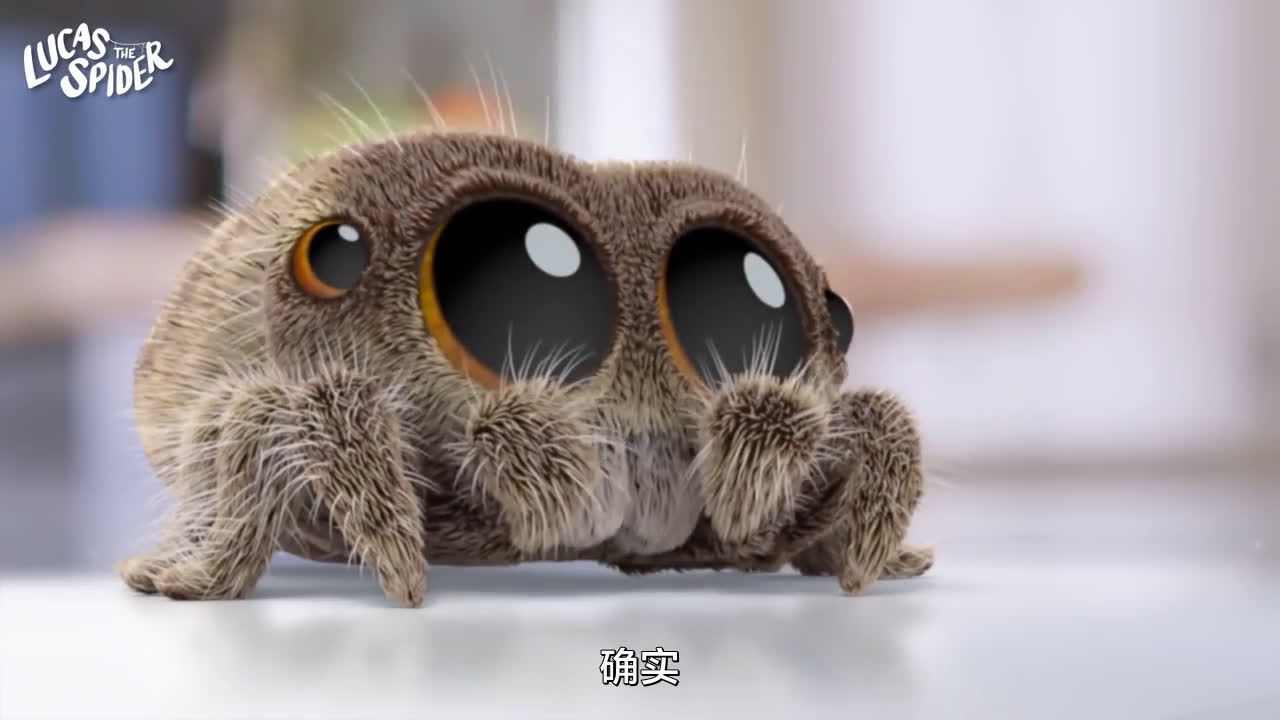 蜘蛛的网怎么来的