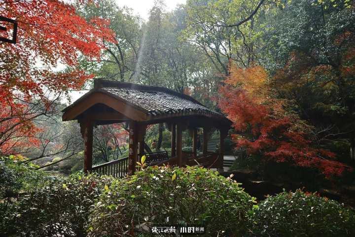 没有游客的第8天,杭州半山国家森林公园:待紫薇花开,期待和你们遇见休闲区蓝鸢梦想 - Www.slyday.coM 没有游客的第8天,杭州半山国家森林公园:待紫薇花开,期待和你们遇见休闲区蓝鸢梦想 - Www.slyday.coM