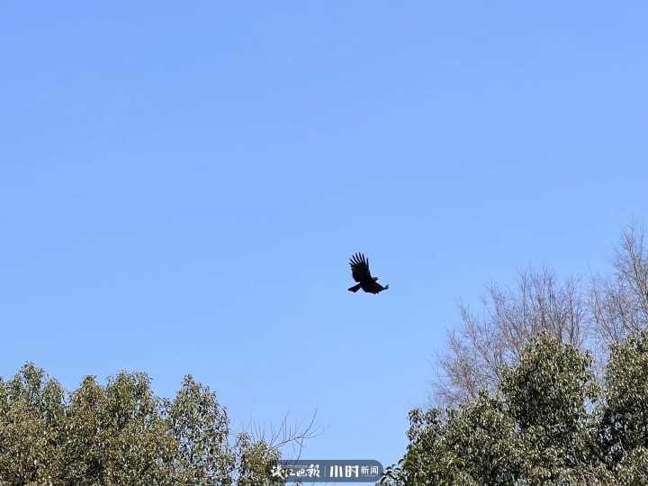 没有游客的第8天,杭州半山国家森林公园:待紫薇花开,期待和你们遇见休闲区蓝鸢梦想 - Www.slyday.coM 没有游客的第8天,杭州半山国家森林公园:待紫薇花开,期待和你们遇见休闲区蓝鸢梦想 - Www.slyday.coM