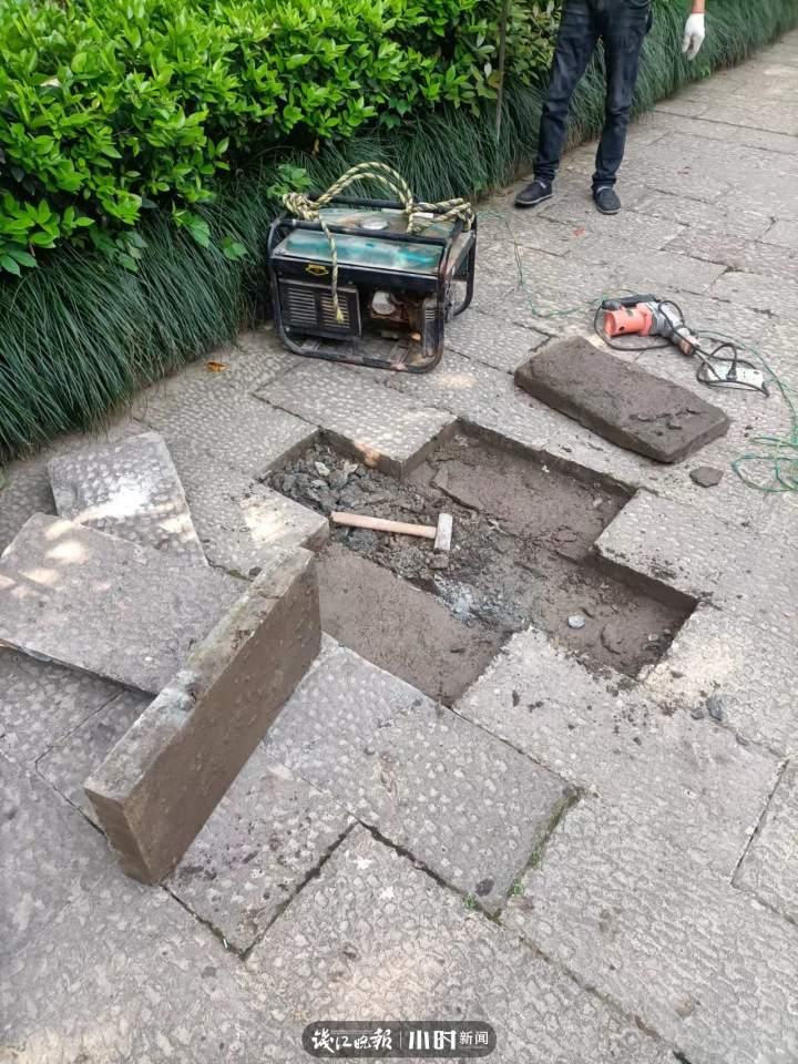 没有游客的第8天,杭州半山国家森林公园:待紫薇花开,期待和你们遇见休闲区蓝鸢梦想 - Www.slyday.coM 没有游客的第8天,杭州半山国家森林公园:待紫薇花开,期待和你们遇见休闲区蓝鸢梦想 - Www.slyday.coM