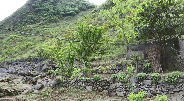 贵州这里“存不住”水,村民用水却一点也不难!记者发现原来是……休闲区蓝鸢梦想 - Www.slyday.coM 贵州这里“存不住”水,村民用水却一点也不难!记者发现原来是……休闲区蓝鸢梦想 - Www.slyday.coM