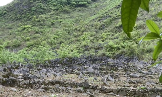 贵州这里“存不住”水,村民用水却一点也不难!记者发现原来是……休闲区蓝鸢梦想 - Www.slyday.coM 贵州这里“存不住”水,村民用水却一点也不难!记者发现原来是……休闲区蓝鸢梦想 - Www.slyday.coM