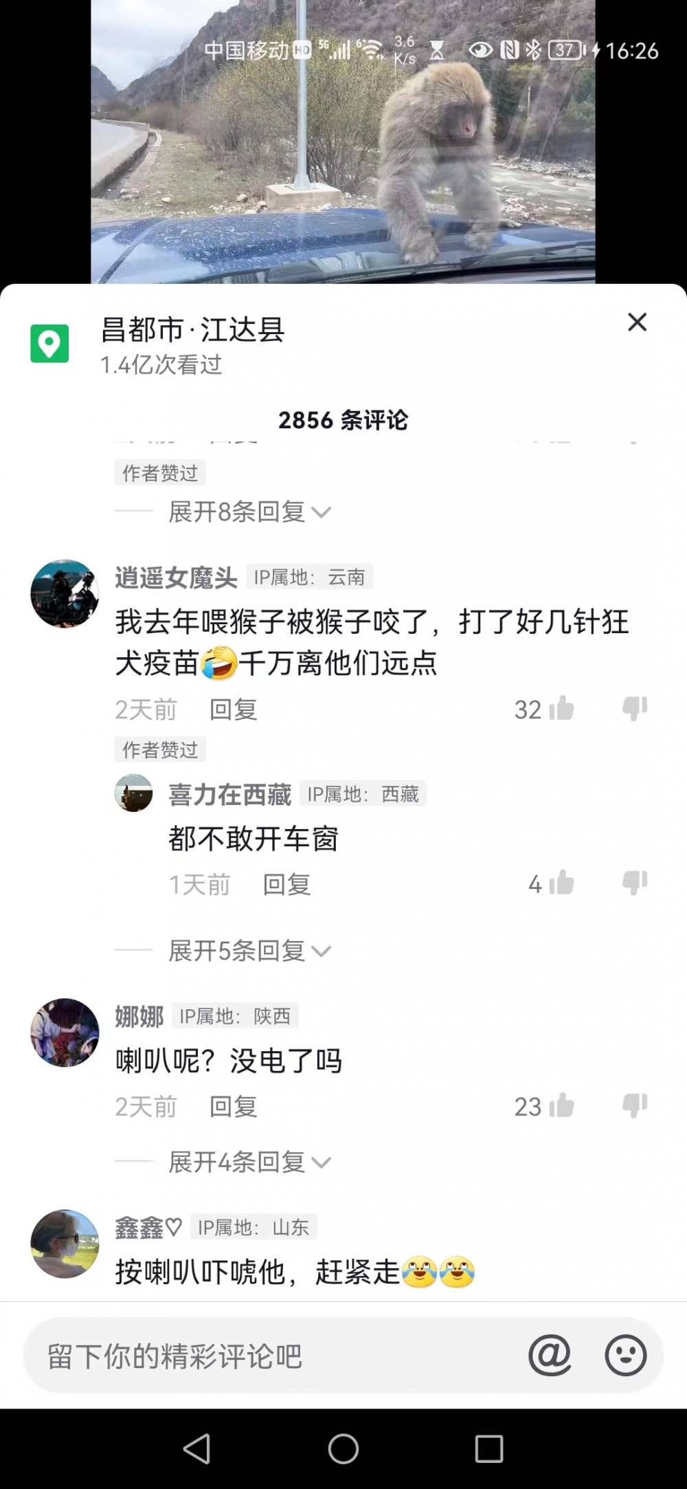 猴子掰断汽车雨刮器保险公司:人为损坏,不赔