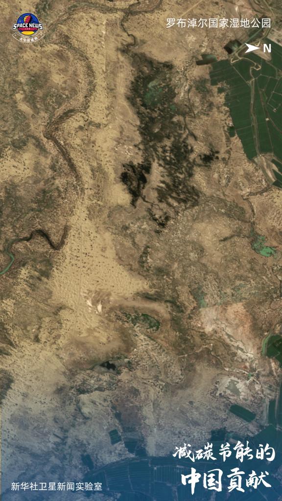 地点：新疆维吾尔自治区巴音郭楞蒙古自治州尉犁县