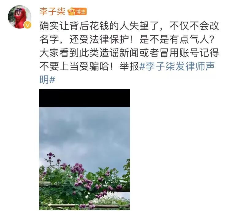 李子柒在律師聲明微博下的評論
