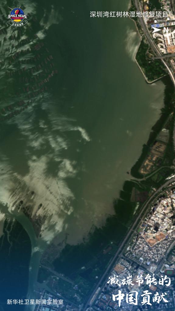 地点：广东省深圳市福田区滨河大道