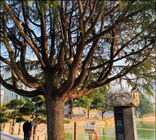 一女子去<a href=