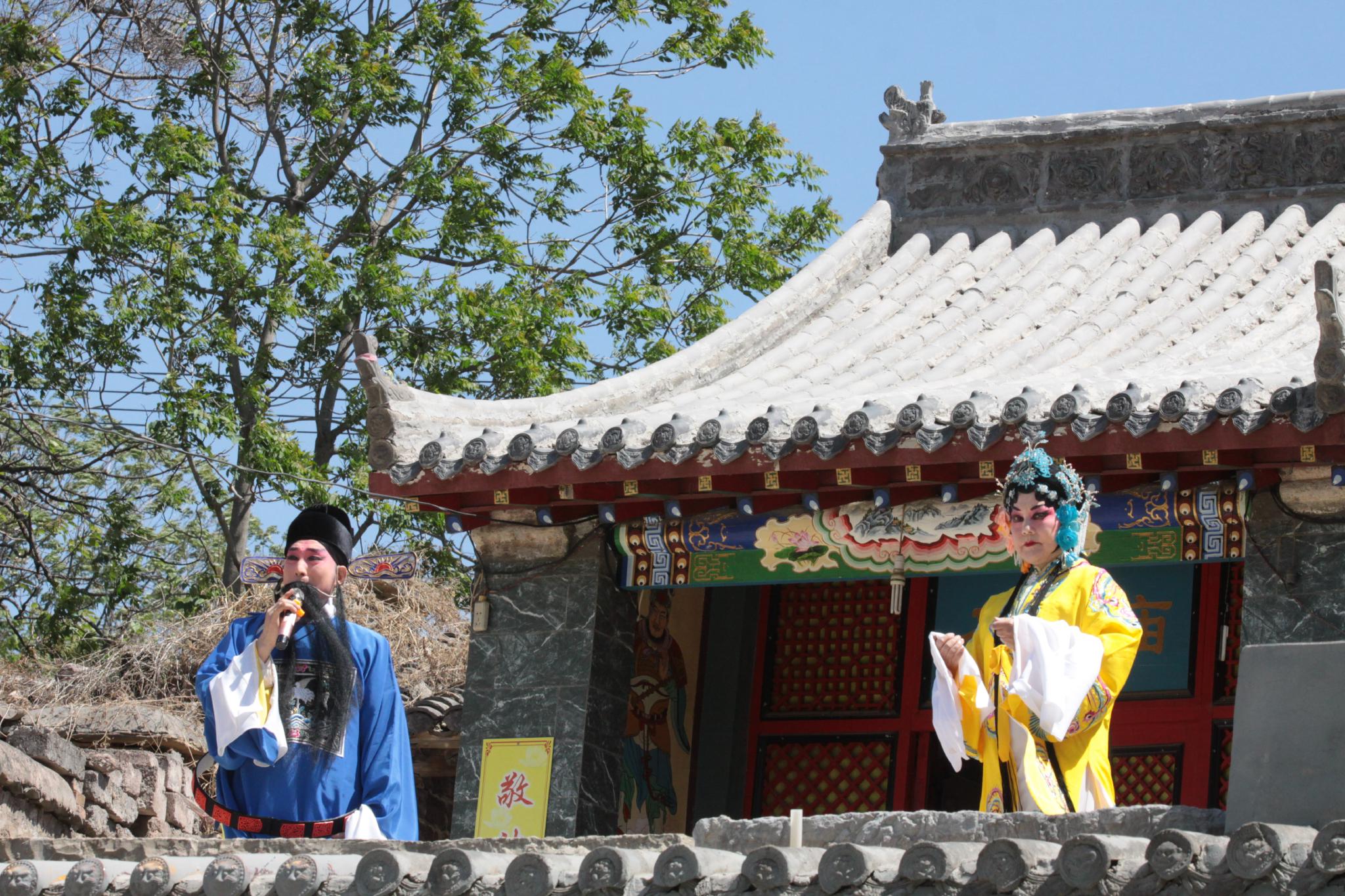 助力乡村振兴，打造生态康养亮丽村墅省会后花园